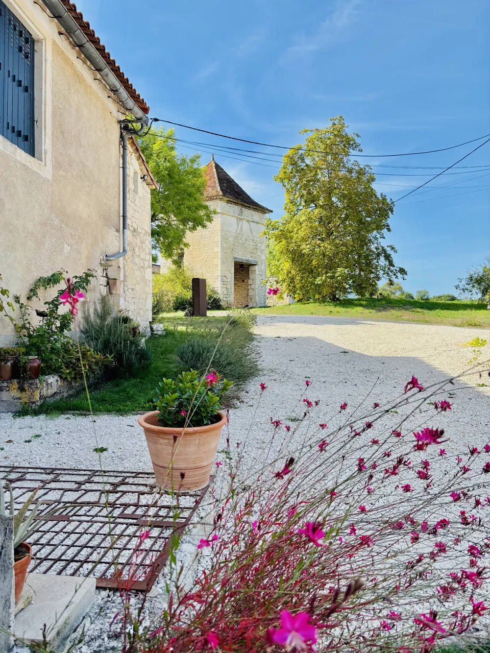 Pink flowers and gravel path in front of the house