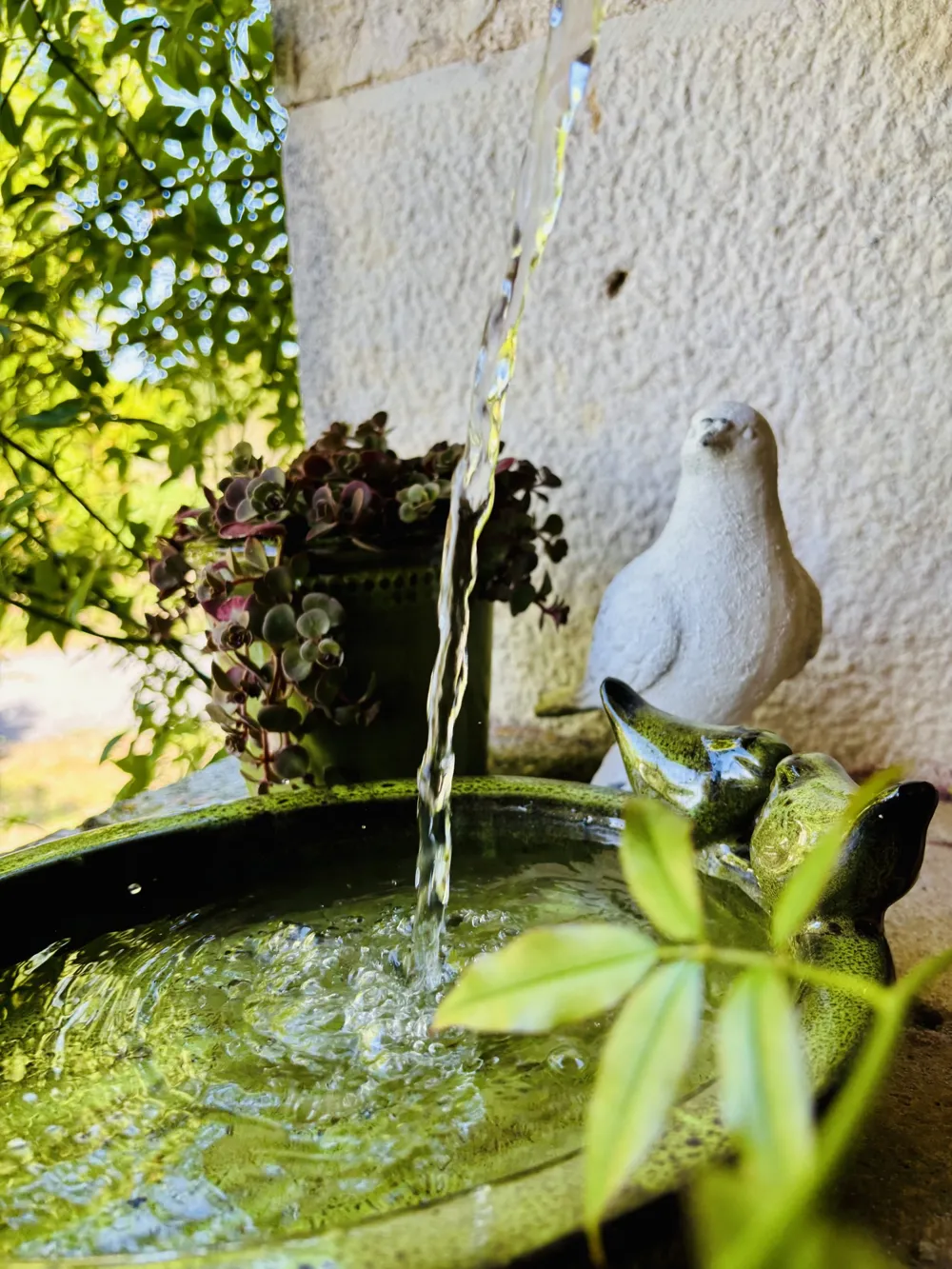Fountain with a stone bird and running water